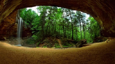 cueva-en-el-bosque