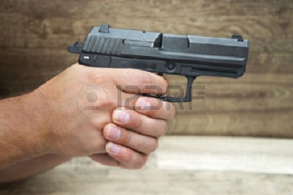 PISTOLA madera-fronda
