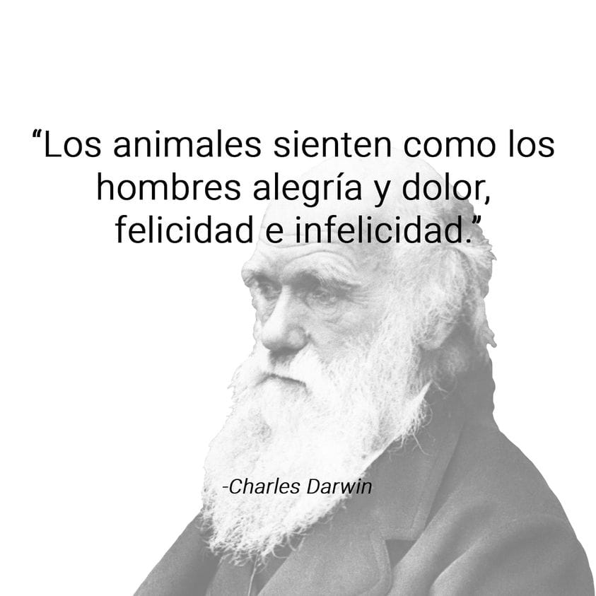 LO DIJO CHARLES DARWIN