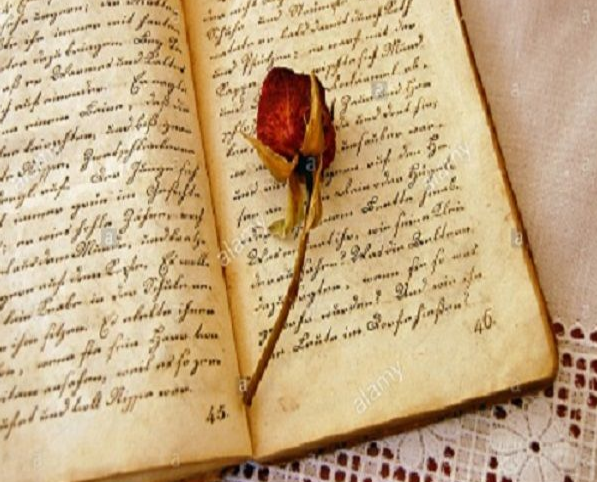 ESA FUE TU ÚLTIMA ROSA (MICRORRELATO)