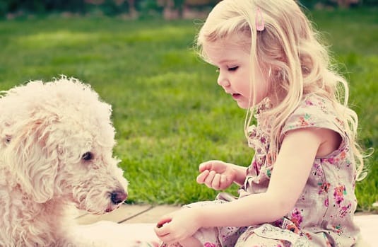 UNA NIÑA Y UN PERRO (MICRORRELATO)