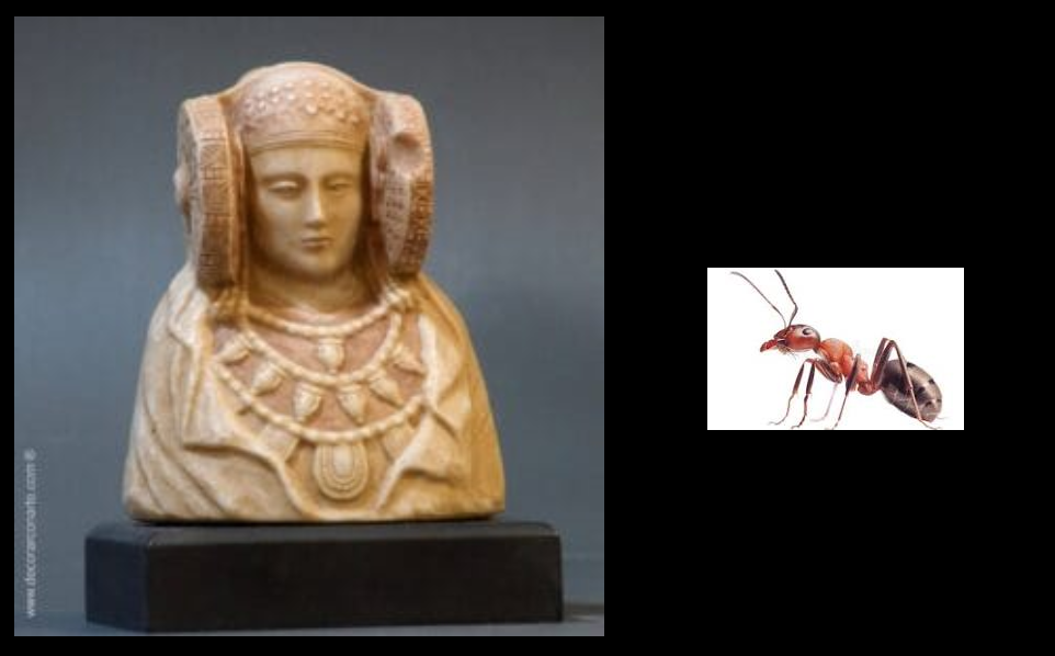 EL MISTERIO DE LA HORMIGA  (MICRORRELATO)