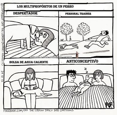 MULTIPROPÓSITOS DE UN PERRO Y EVOLUCIÓN DE LA FAMILIA (Minisucesos jocosos)