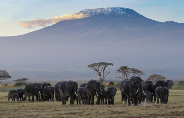 UNA LECCIÓN DE MAGNANIMIDAD (MICRORRELATO)