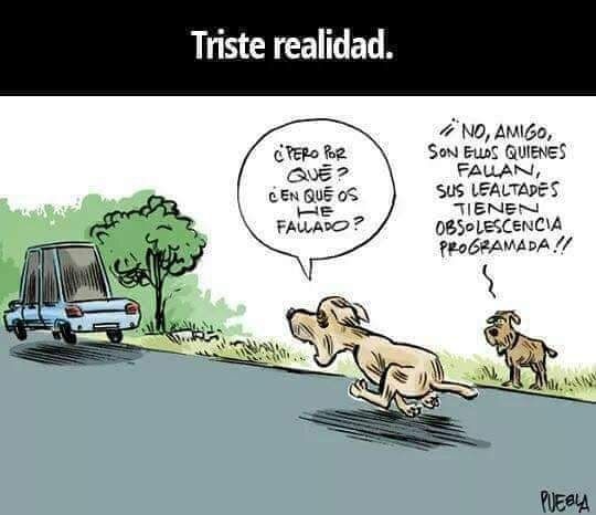 UNA TRISTE Y MUY CRUEL REALIDAD