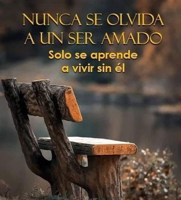 SOBRE ESOS SERES QUERIDOS QUE NO LOS TENEMOS MÁS CON NOSOTROS