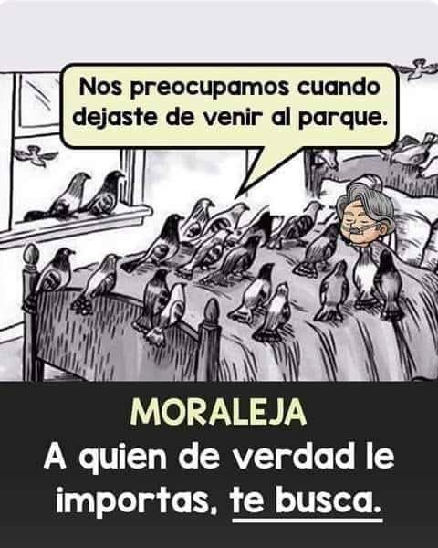 ES TAN BELLO QUE MERECERÍA SER VERDAD