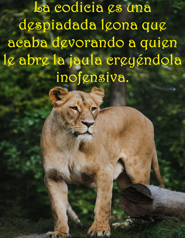 SOBRE LA CODICIA (PÍLDORAS FILOSÓFICAS)