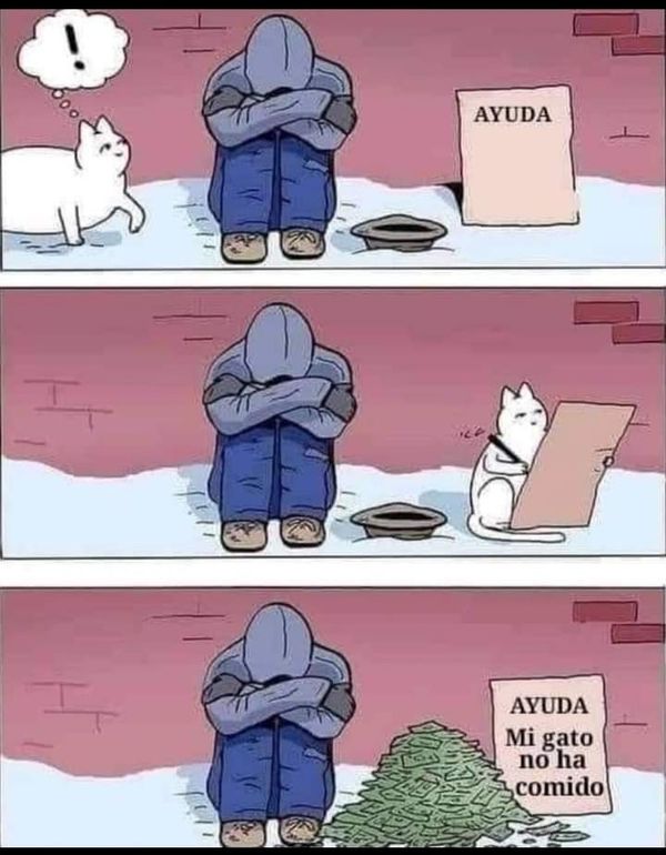 NO ANDA MUY LEJOS DE SER POSIBLE (HUMOR)