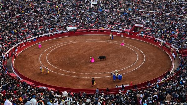 LA FIESTA DE LOS TOROS: SU GRANDEZA Y SU TRAGEDIA (RELATO)