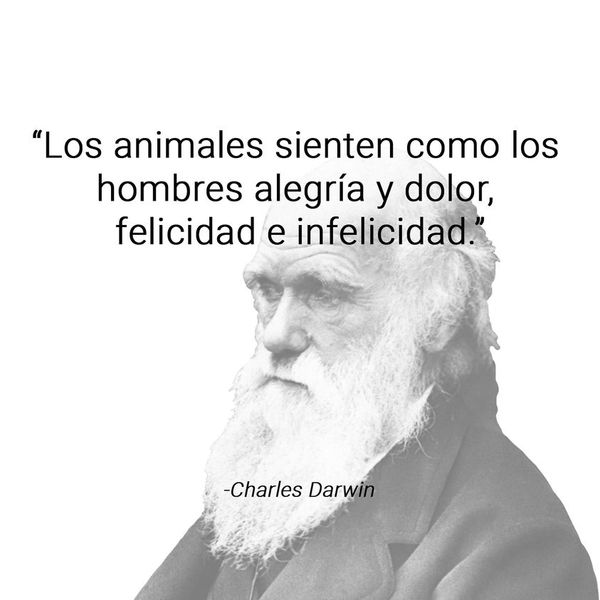 LO DIJO CHARLES DARWIN