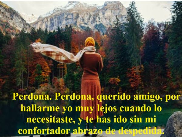 QUERIDO AMIGO, UN SENTIDO Y DOLOROSO ADIOS DESDE LA DISTANCIA