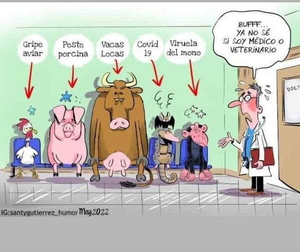 SOBRE SI SER MÉDICO O VETERINARIO (HUMOR)