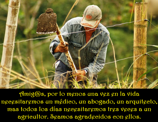 SOBRE NUESTRAS NECESIDADES (PÍLDORAS FILOSÓFICAS)