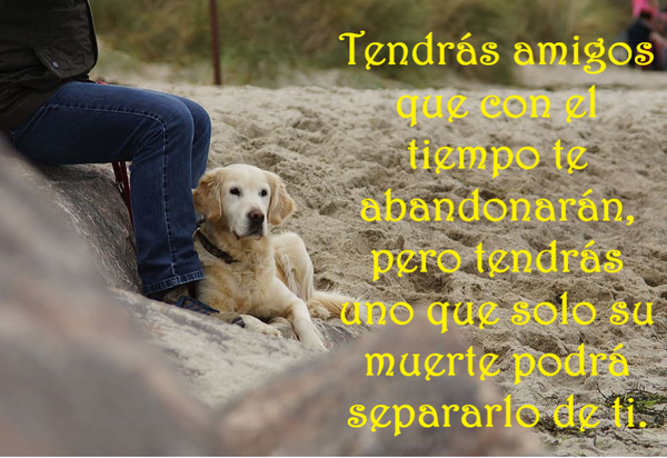 SOBRE EL POSIBLEMENTE MEJOR AMIGO DE TODOS (PÍLDORAS FILOSÓFICAS)