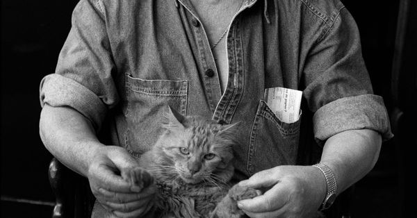 EN LAS ESTADÍSTICA DE LOS POBRES NO LO CUENTAN (RELATO)