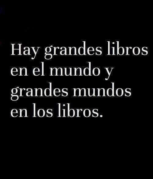 UNA GRAN VERDAD SOBRE LOS LIBROS