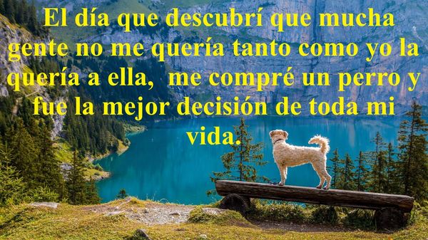 SOBRE LOS QUE LA GENTE DECEPCIONA (PÍLDORAS FILOSÓFICAS)