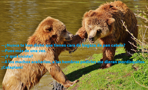 UNA GOTA DE HUMOR (7)