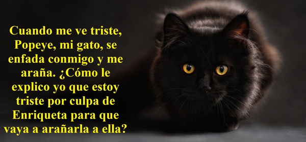 UNA GOTA DE HUMOR (19)