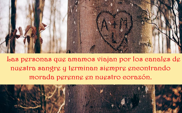 SOBRE LAS PERSONAS QUE AMAMOS (PÍLDORAS FILOSÓFICAS)