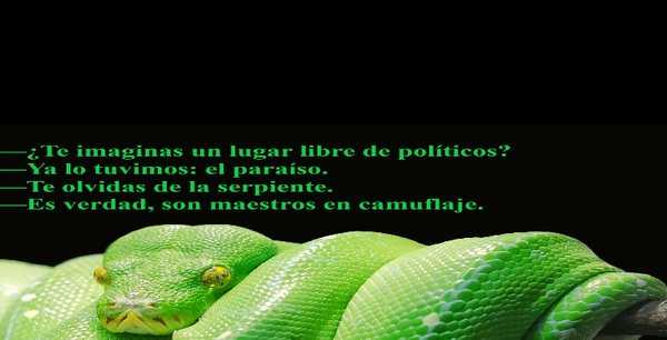 UNA GOTA DE HUMOR (17)