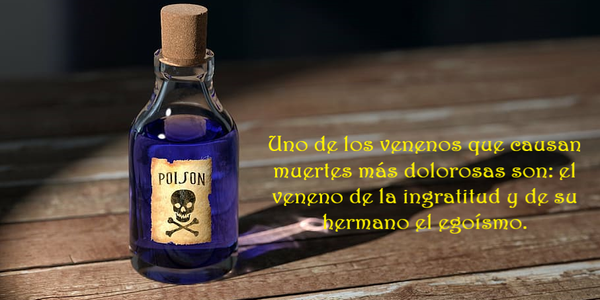 SOBRE LA INGRATITUD Y EL EGOÍSMO (PÍLDORAS FILOSÓFICAS)