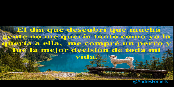 UNA GOTA DE HUMOR 29