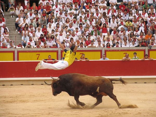 PROHIBIDO PROHIBIR (RELATO)