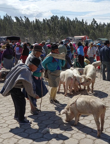 ALGUNOS DE LOS SIGNIFICADOS QUE TIENEN LOS SUEÑOS PARA LOS INDIOS QUECHUA