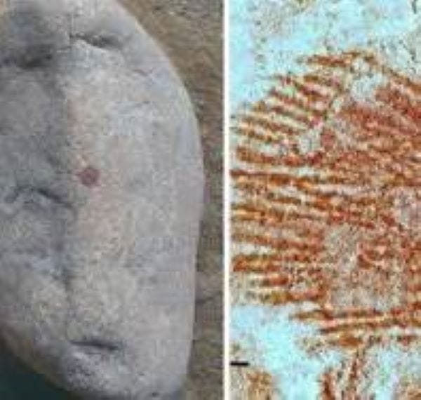LA HUELLA DACTILAR MÁS ANTIGUA DEL MUNDO: UN VESTIGIO NEANDERTAL QUE REVOLUCIONA LA HISTORIA
