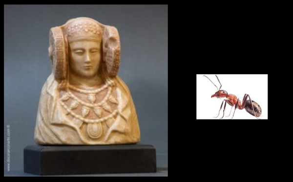 EL MISTERIO DE LA HORMIGA  (MICRORRELATO)