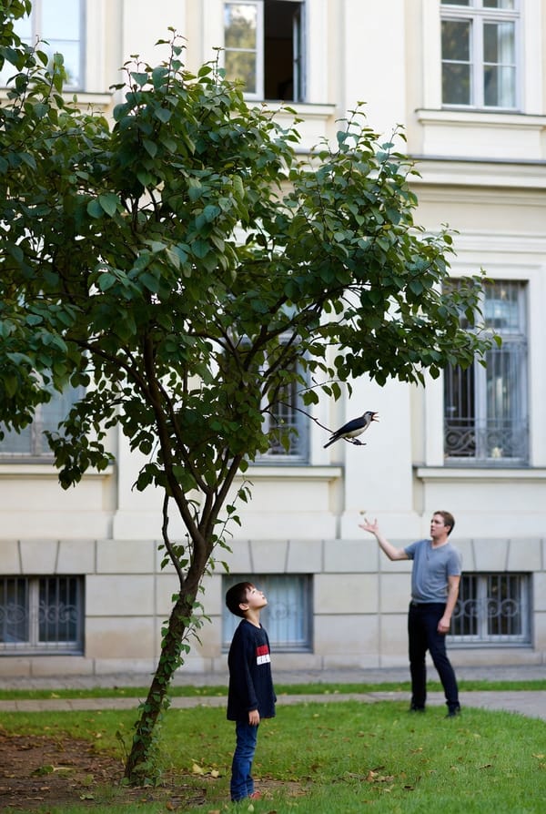UN PÁJARO, UN NIÑO, UN HOMBRE Y UNOS CARAMELOS (MICRORRELATO)